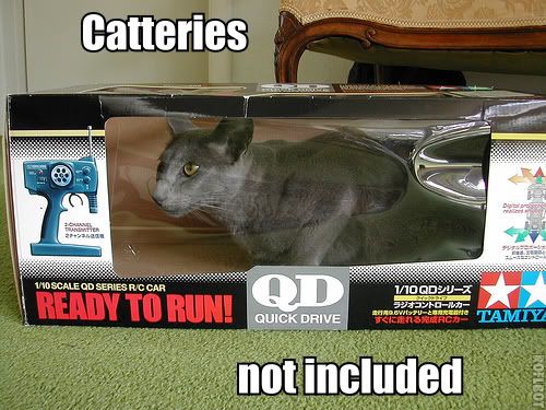remote control car for cats