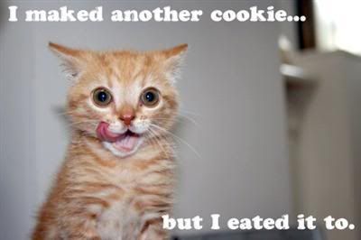 i-maked-another-cookie-but-i-eated-.jpg
