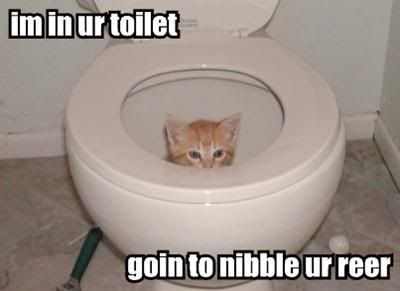 im-in-ur-toilet-goin-to-nibble-ur-r.jpg