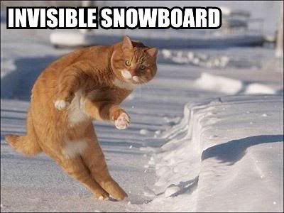 invisible-snowboard-2.jpg