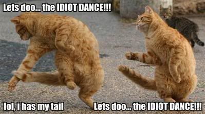 lets-doo-the-idiot-dance-lol-i-has-.jpg