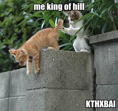 me-king-of-hill-kthxbai.jpg