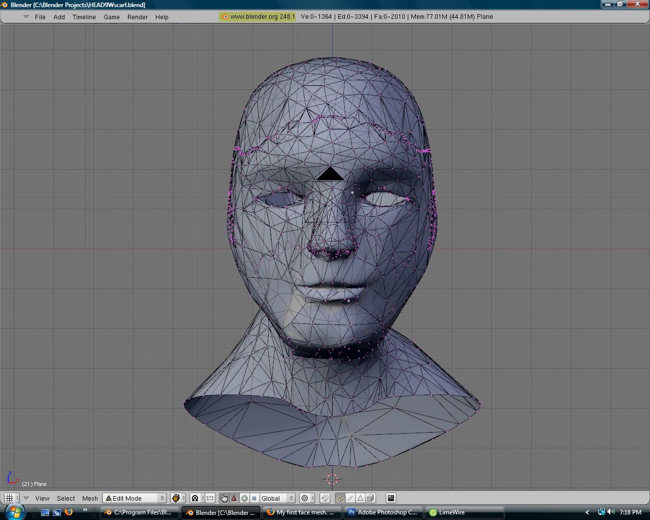 http://i198.photobucket.com/albums/aa300/samthemanwithgreeneggsandham/Face-mesh-1-wireframe.jpg