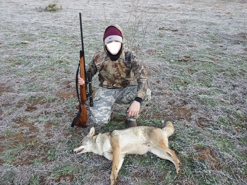 Best caliber/gun for coyote huntin TexAgs