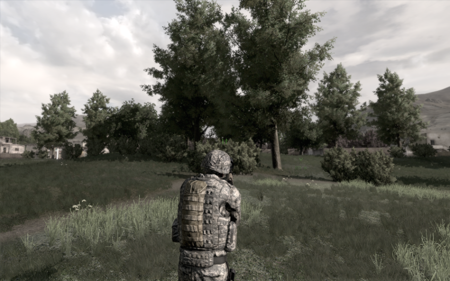 arma2OA2010-08-1609-33-47-16.png