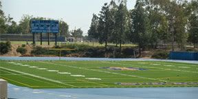 Soccer Field