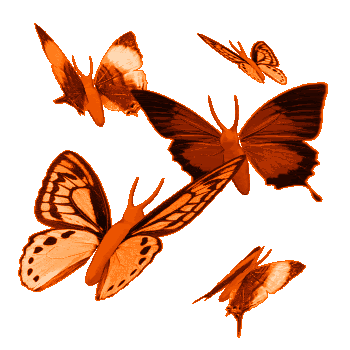 03684sk0.gif Animated Butterflies image by dixeechikk
