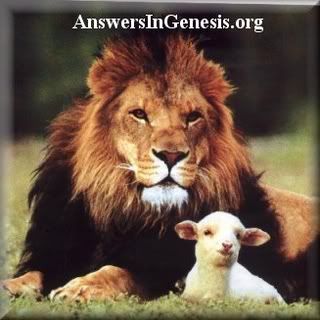 Lion and Lamb