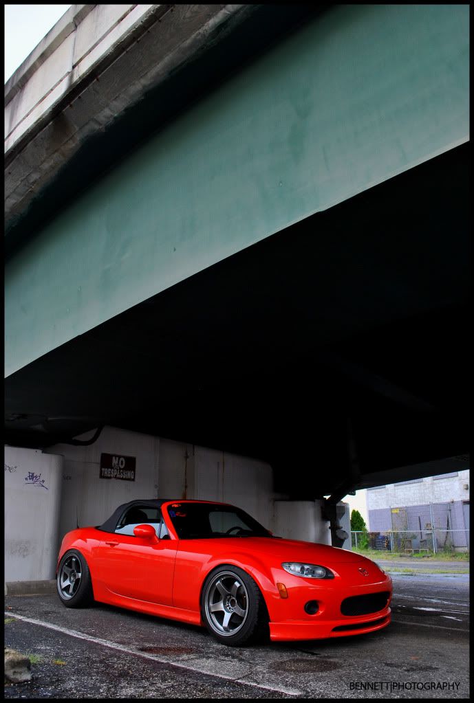 DSC_0209ed.jpg