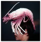 Isabella Blow Pictures, Images and Photos