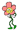 QUESTION ONLY GAME .........PART 6
