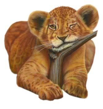 Roar! ....(pic)