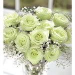rose37.jpg