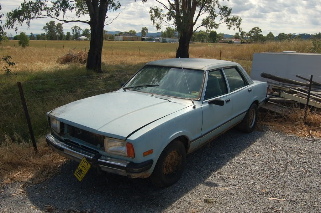 TE 250 Cortina