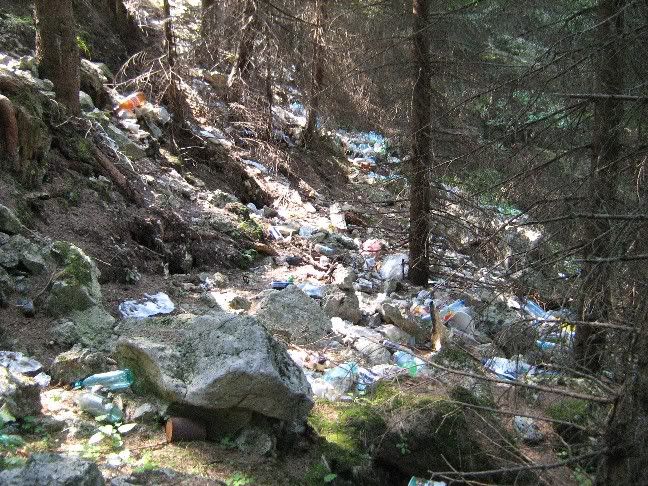 ecologizare sinaia cota 1400
