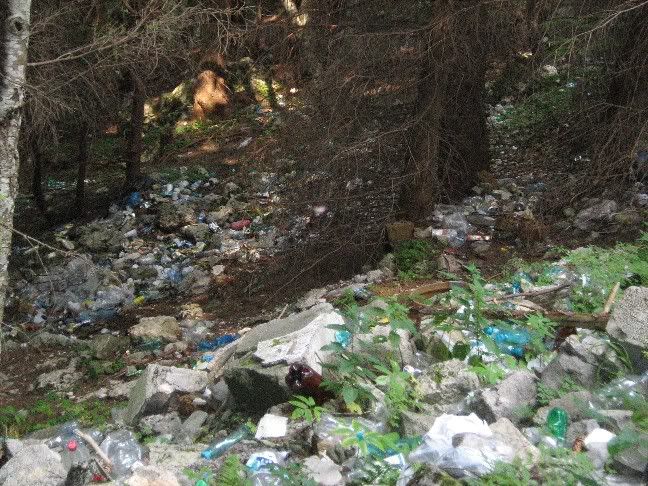 ecologizare sinaia cota 1400