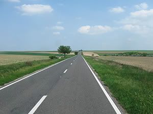 ecologizare delta dunarii 2009