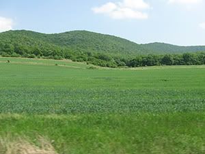 ecologizare delta dunarii 2009