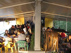 ecologizare delta dunarii 2009