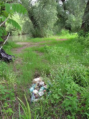 ecologizare delta dunarii 2009