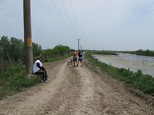 ecologizare delta dunarii 2009