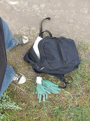 ecologizare delta dunarii 2009