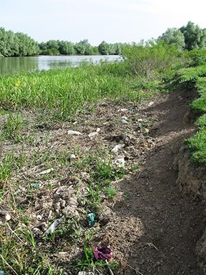 ecologizare delta dunarii 2009