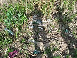 ecologizare delta dunarii 2009
