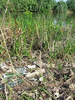 ecologizare delta dunarii 2009