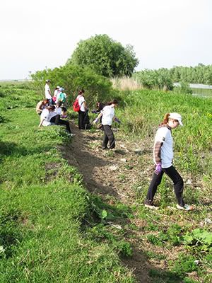 ecologizare delta dunarii 2009
