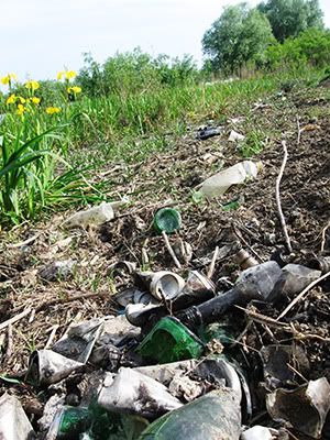 ecologizare delta dunarii 2009