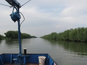 ecologizare delta dunarii 2009