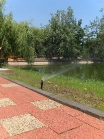 parcul bordei