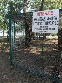 parcul bordei
