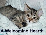 A Welcoming Hearth
