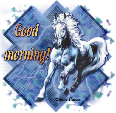 GOOD MORNING HORSE Pictures, Images and Photos