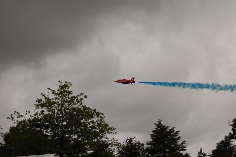DSC_0131.jpg