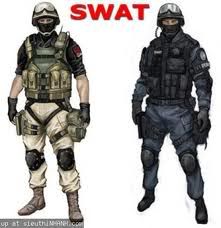 realswat.jpg