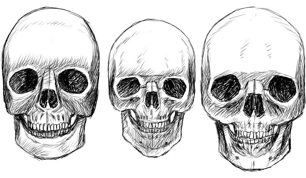 learning anatomy learning anatomy
