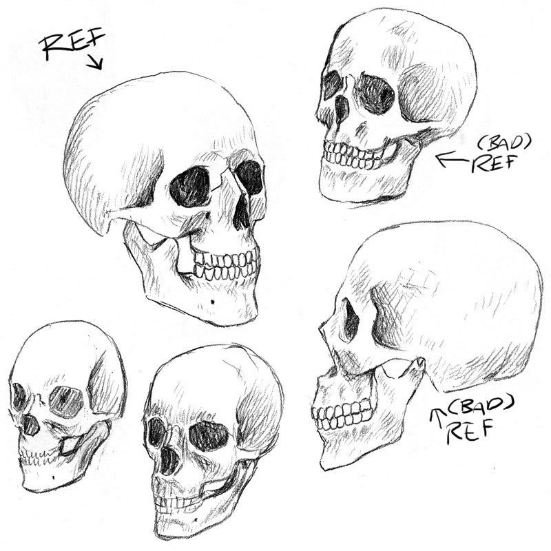 learning anatomy learning anatomy