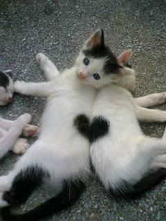 https://i198.photobucket.com/albums/aa178/Funky_Finny/1238103855984.jpg