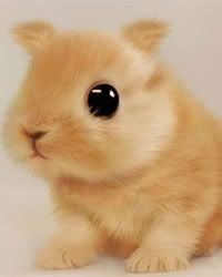 https://i198.photobucket.com/albums/aa178/Funky_Finny/1238104546297.jpg