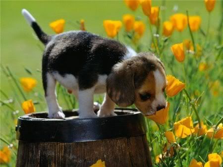 https://i198.photobucket.com/albums/aa178/Funky_Finny/1238104870145.jpg