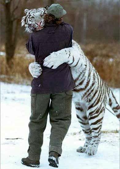 https://i198.photobucket.com/albums/aa178/Funky_Finny/cute_animals_09.jpg