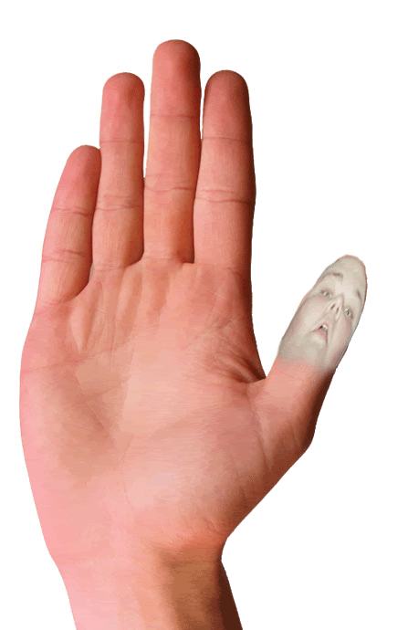 https://i198.photobucket.com/albums/aa178/Funky_Finny/high-five.gif