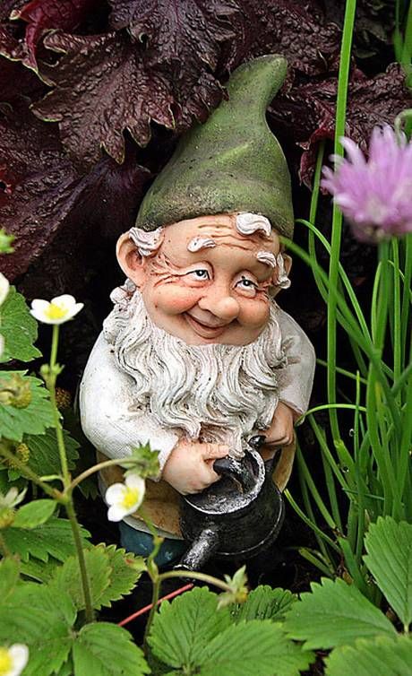 photo TinytroubleaChelseaFlowerShowveteranhasdefiedjudgesbydisplayingabannedgardengnome_zpsc90d9cb0.jpg