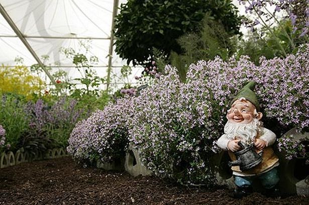 photo garden-gnome-pic-getty-986420293_zps873c8a84.jpg