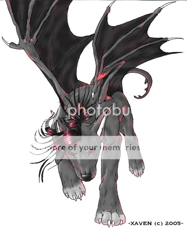 User Image