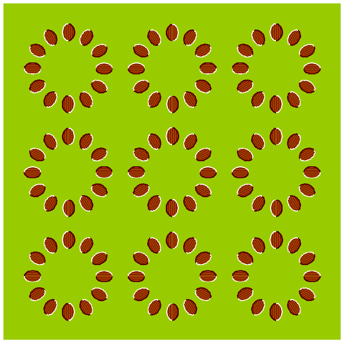 zoptic10.gif
