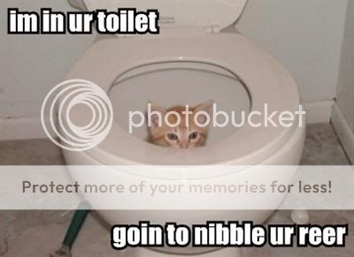 im-in-ur-toilet-goin-to-nibble-ur-r.jpg